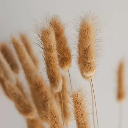 酒店 Naxos Tower Galanado