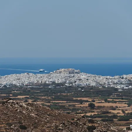 Hotel Naxos Tower *